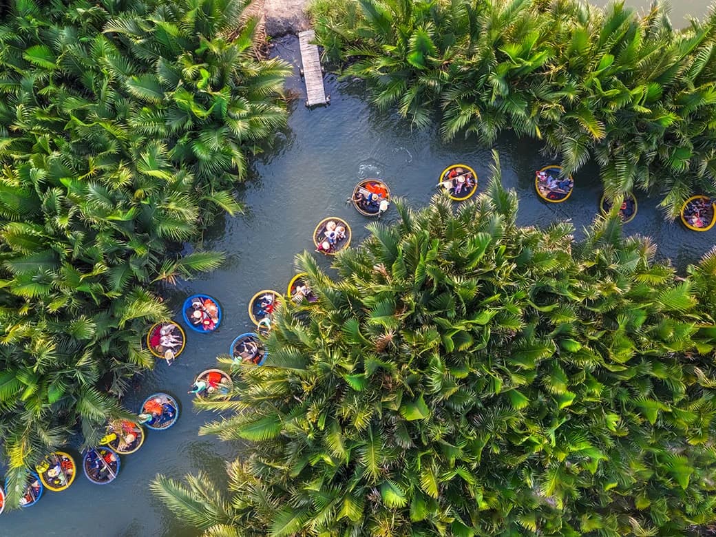 vé rừng dừa bảy mẫu