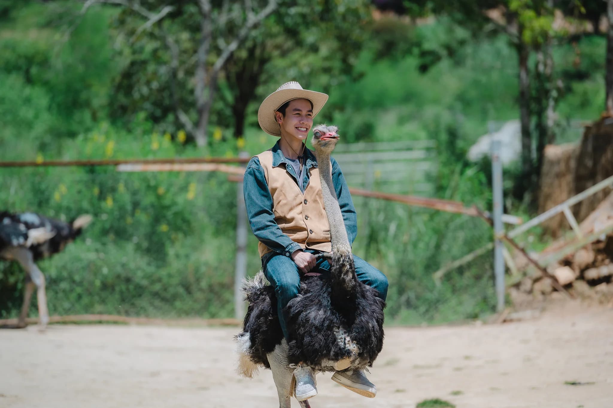 CƯỠI ĐÀ ĐIỂU